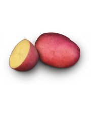 Batata Vermelha