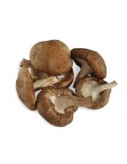 Cogumelos Shii-Take Granel