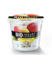 Iogurte Manga S/Lactose 125G