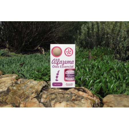 Óleo Essencial Alfazema 10Ml