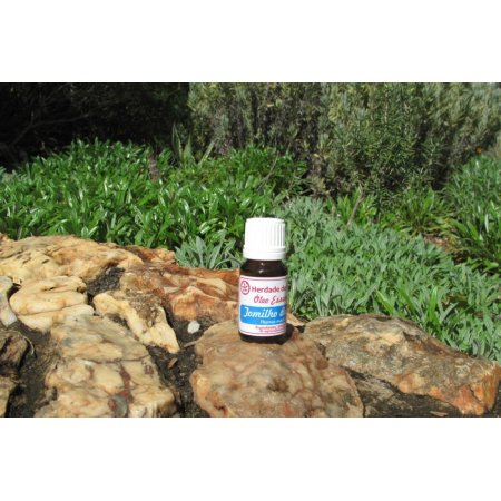 Óleo Essêncial Erva-Ursa(Tomilho) 10Ml