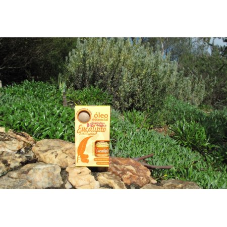 Óleo Essêncial Eucalipto 10Ml