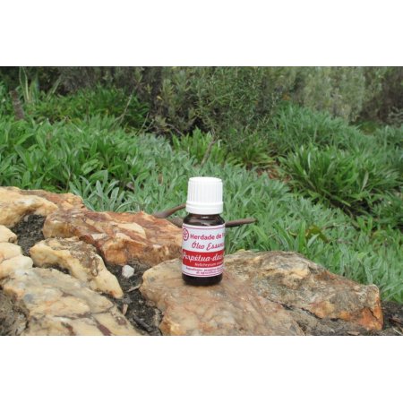 Óleo Essencial Perpetua-Das-Areias 10Ml