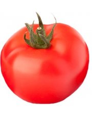 Tomate