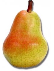 PERA IMPORTADA