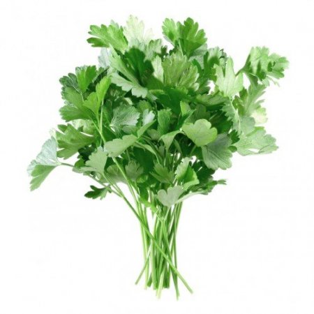 Salsa (Molho)