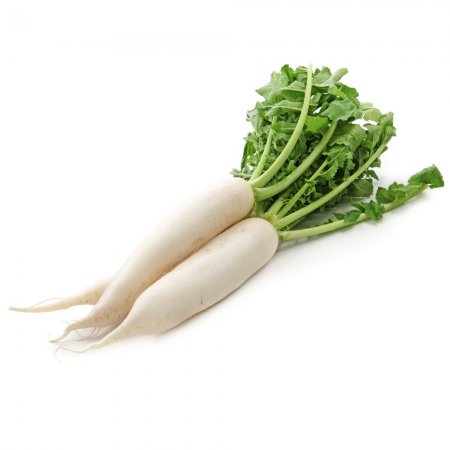 RABANO DAIKON