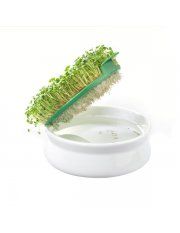 GERMINADOR DE SEMENTES GERMLINE