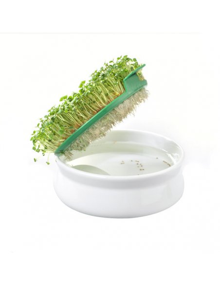 GERMINADOR DE SEMENTES GERMLINE