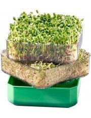 GERMINADOR DE SEMENTES 2 TABULEIROS - GERMLINE