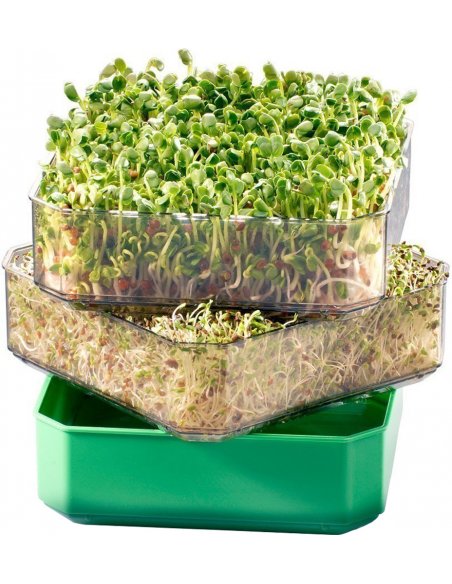 GERMINADOR DE SEMENTES 2 TABULEIROS - GERMLINE