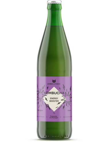KOMBUCHA BOOSTER - 1 L - LIVING FOOD