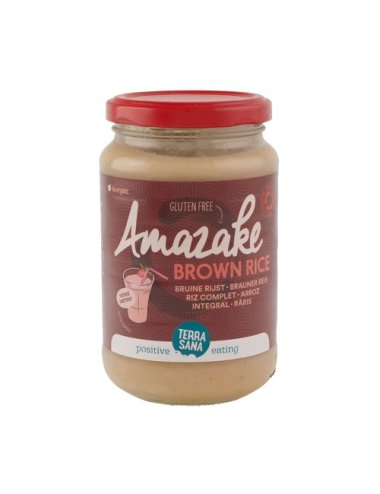 AMASAKE ARROZ INTEGRAL - 380G - TERRA SANA